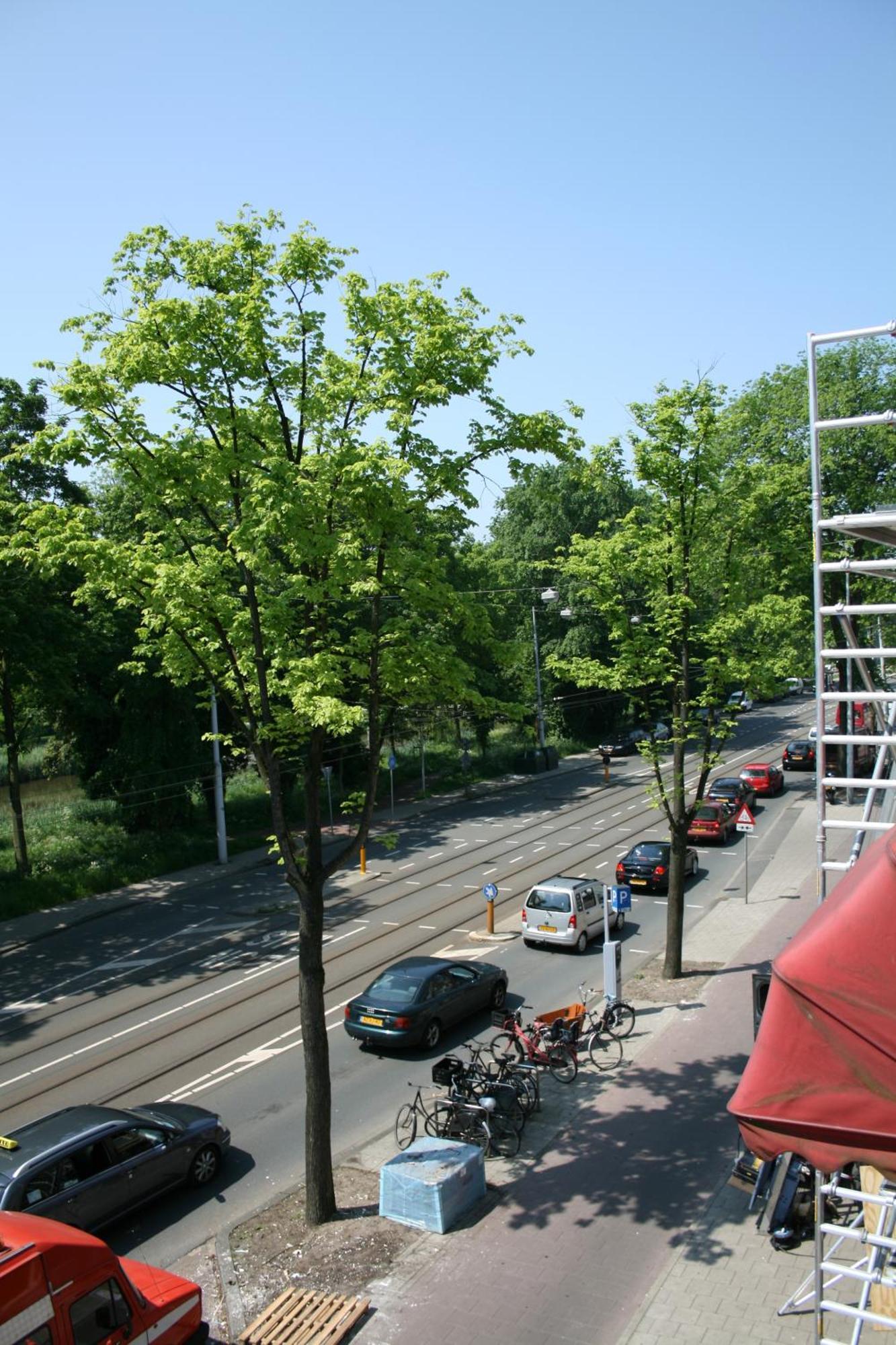 Frankendael Apartments Amsterdam Exterior foto